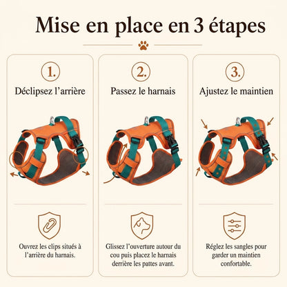 Harnais Petit Chien Maille Respirante - mise en place 3 etapes