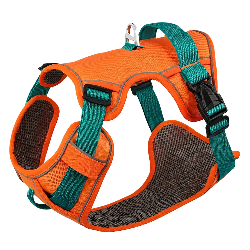 Harnais petit chien maille respirante, coloris orange et vert, vue de face