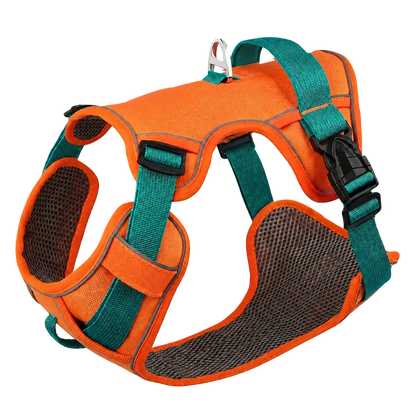 Harnais petit chien maille respirante, coloris orange et vert, vue de face