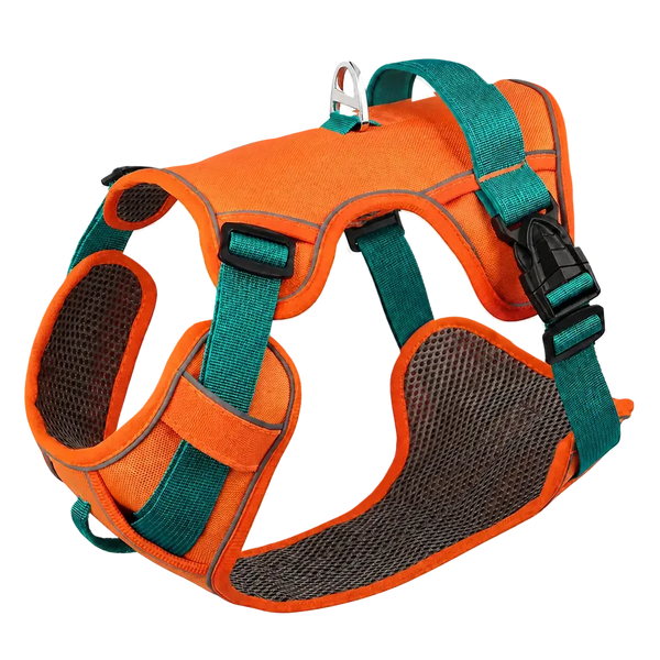 Harnais petit chien maille respirante, coloris orange et vert, vue de face