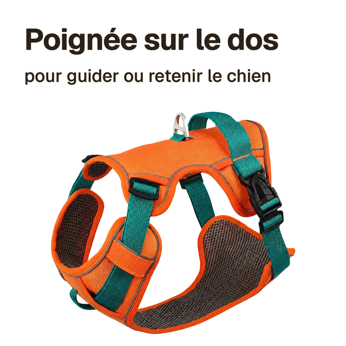 Harnais petit chien maille respirante : poignée sur le dos pour guider ou retenir le chien