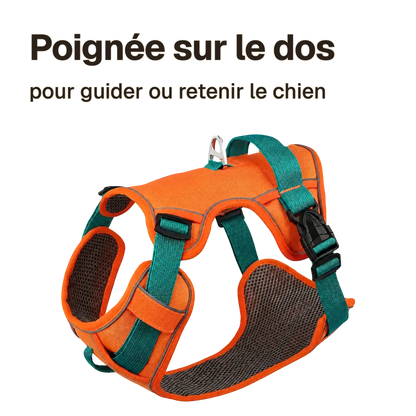 Harnais petit chien maille respirante : poignée sur le dos pour guider ou retenir le chien