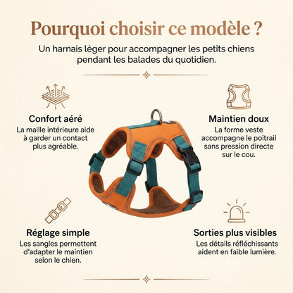 Harnais Petit Chien Maille Respirante - pourquoi choisir ce modele