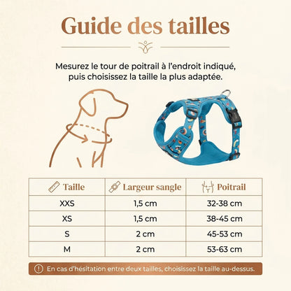Harnais Petit Chien Motif Respirant - guide des tailles