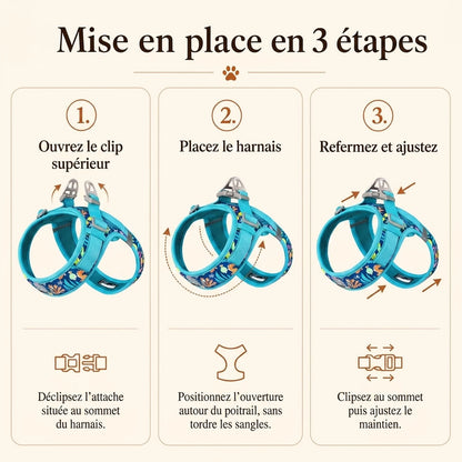 Harnais Petit Chien Motif Respirant - mise en place 3 etapes
