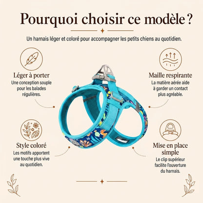 Harnais Petit Chien Motif Respirant - pourquoi choisir ce modele