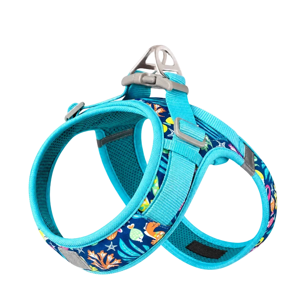 Harnais Petit Chien Motif Respirant, motif tropical turquoise