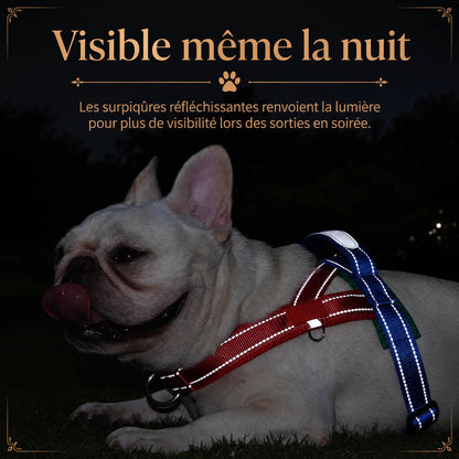 harnais petit chien selle ajustable bandes reflechissantes
