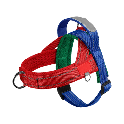 Harnais Petit Chien Selle Ajustable coloris bleu, rouge et vert
