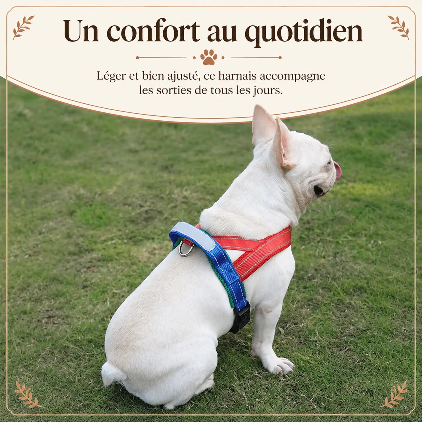 harnais petit chien selle ajustable lifestyle