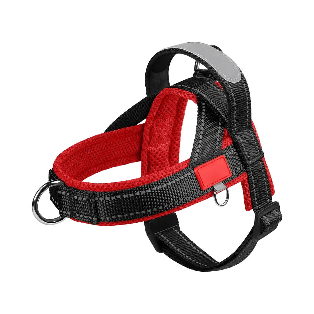 Harnais Petit Chien Selle Ajustable coloris noir et rouge