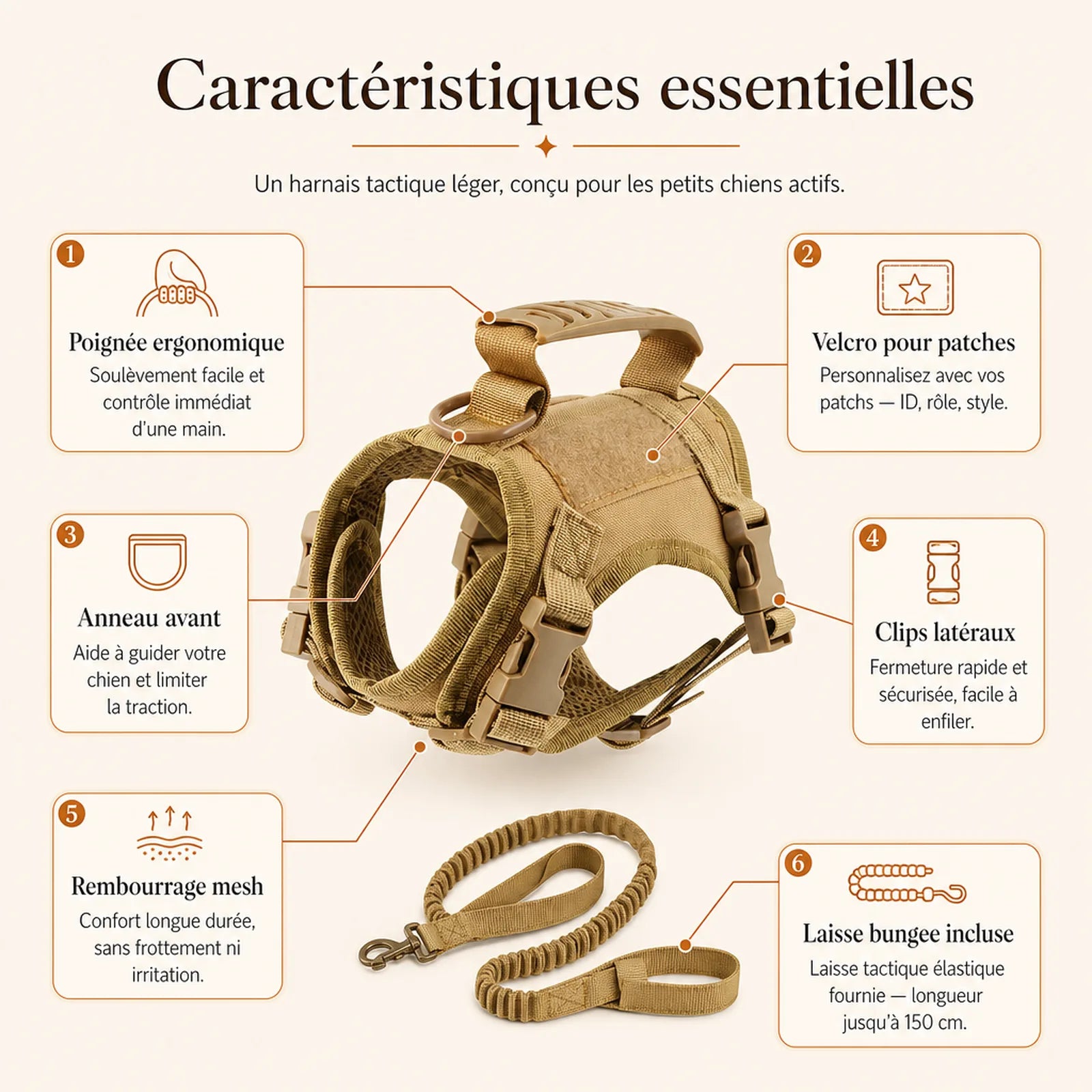 Harnais petit chien tactique leger - caracteristiques essentielles