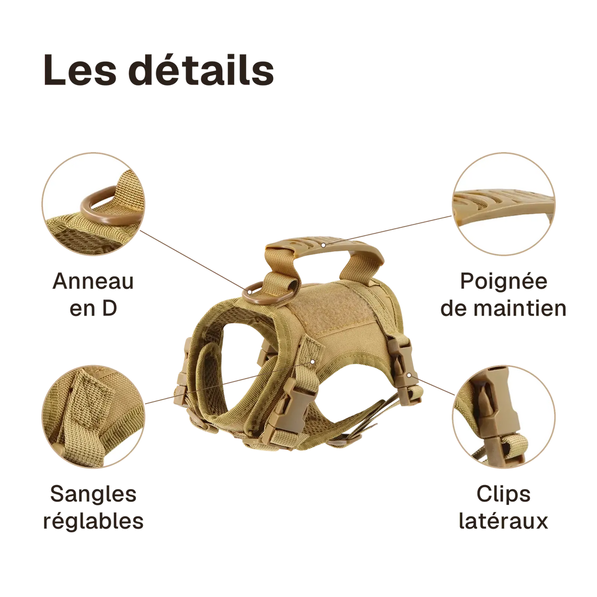 Les détails du harnais petit chien Tactique Léger : poignée de maintien, anneau en D, clips latéraux, sangles réglables