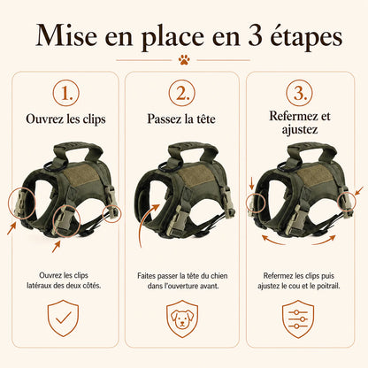 Harnais petit chien tactique leger - mise en place en 3 etapes