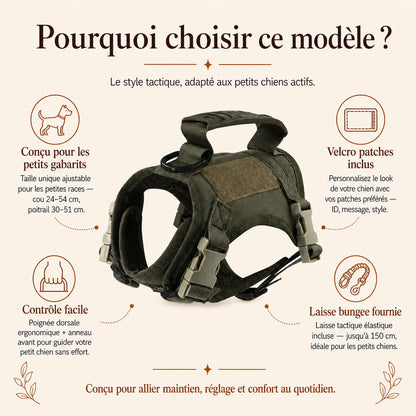Harnais petit chien tactique leger - pourquoi choisir ce modele