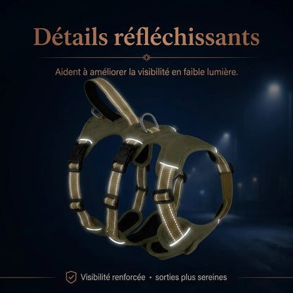 Harnais Randonnee Impermeable - bandes reflechissantes