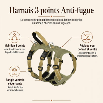 Harnais Randonnee Impermeable - benefice principal v2