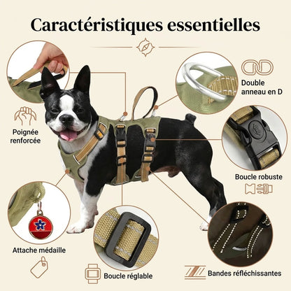 Harnais Randonnee Impermeable - caracteristiques essentielles v2
