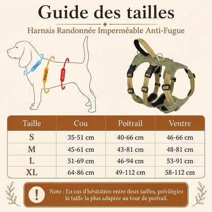 Harnais Randonnee Impermeable - guide des tailles v2