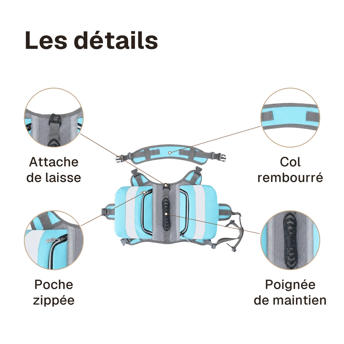 Les détails du harnais randonnée bleu : poignée de maintien, attache de laisse, poche zippée, col rembourré