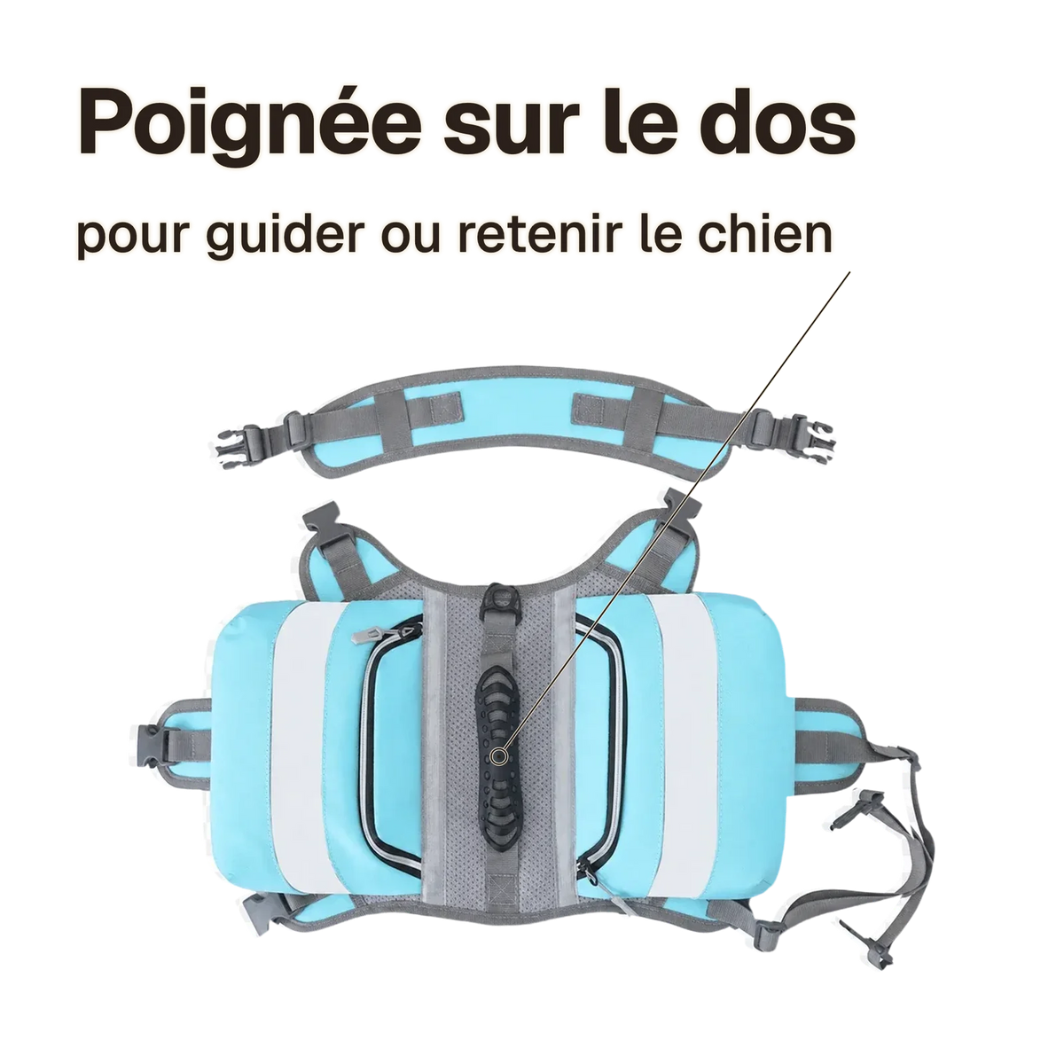 Harnais randonnée bleu : poignée sur le dos pour guider ou retenir le chien