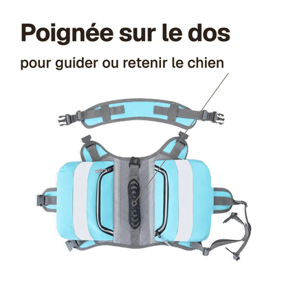 Harnais randonnée bleu : poignée sur le dos pour guider ou retenir le chien