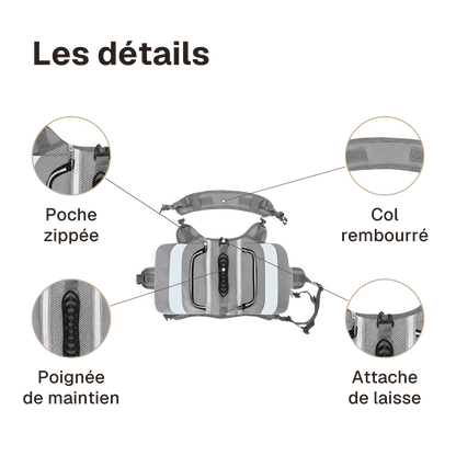 Les détails du harnais randonnée gris : poignée de maintien, attache de laisse, poche zippée, col rembourré