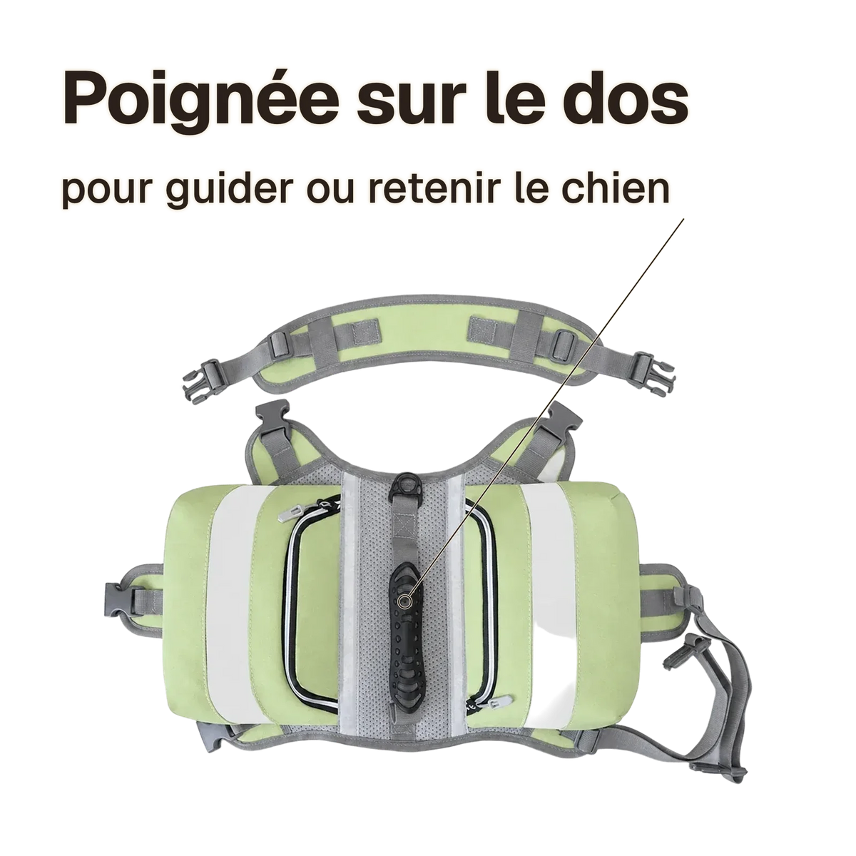 Harnais randonnée vert : poignée sur le dos pour guider ou retenir le chien
