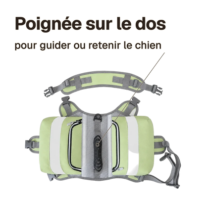 Harnais randonnée vert : poignée sur le dos pour guider ou retenir le chien