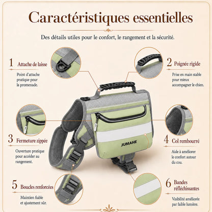 Harnais Randonnée Sacoche Vert