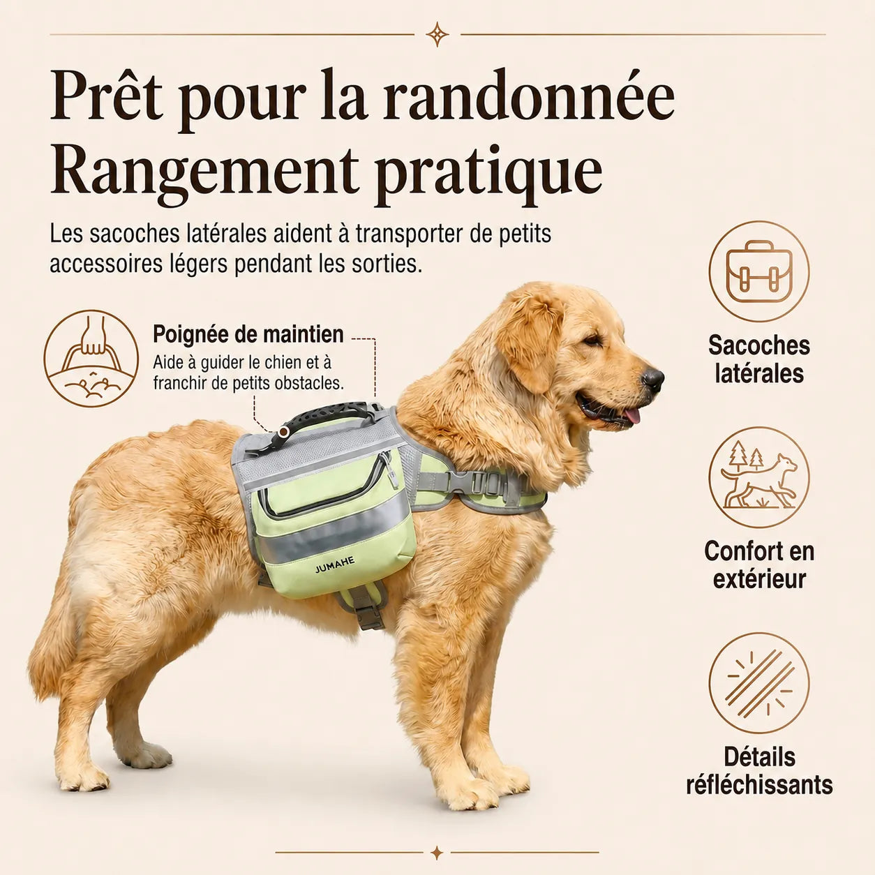 Harnais Randonnée Sacoche Vert