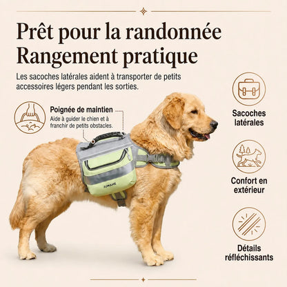 Harnais Randonnée Sacoche Vert