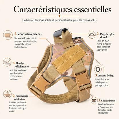 Harnais tactique chien colore - caracteristiques essentielles