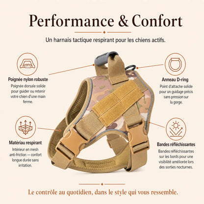 Harnais tactique chien colore - performance et confort