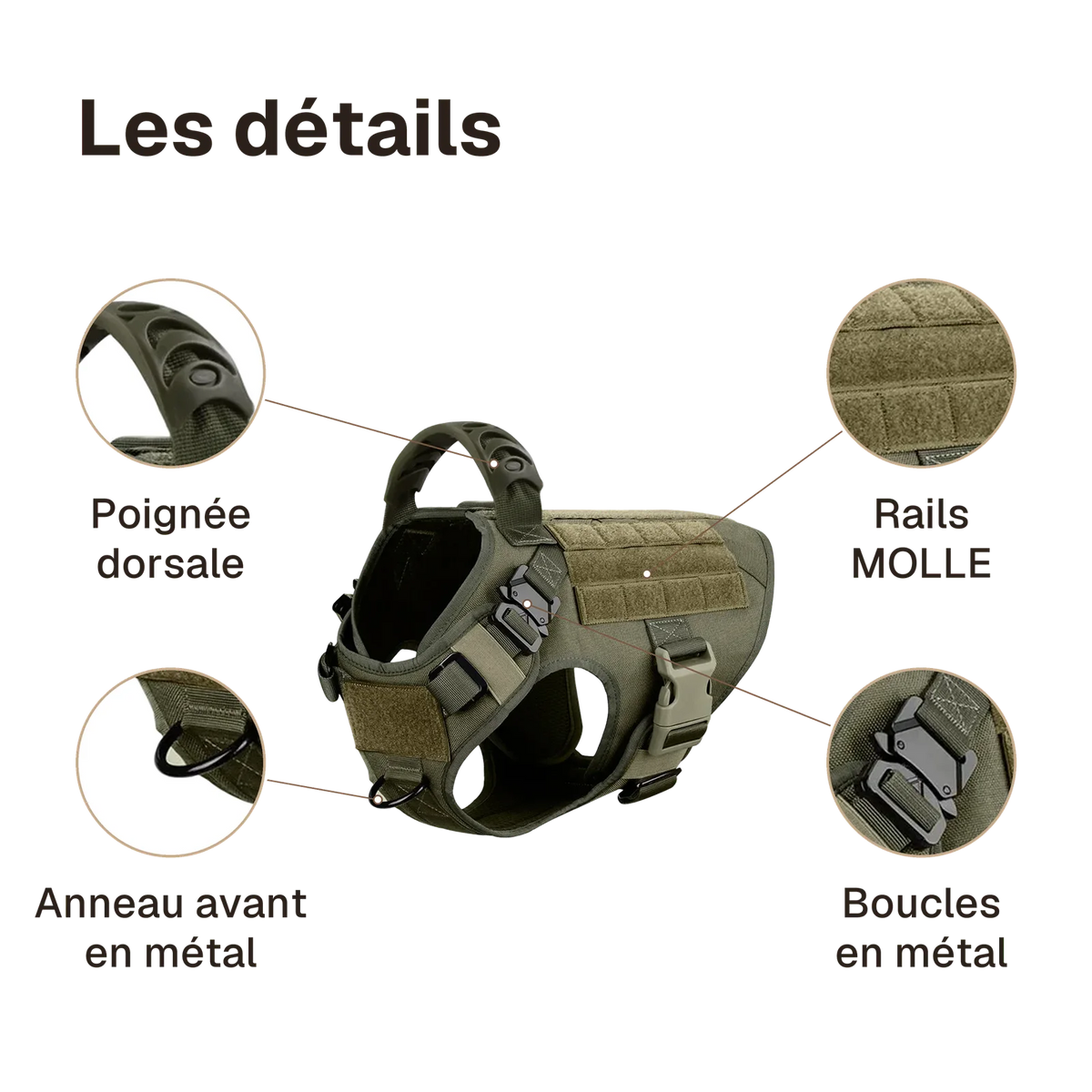 Les détails du harnais tactique chien entraînement : poignée dorsale, anneau avant en métal, boucles en métal, rails MOLLE