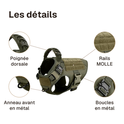 Les détails du harnais tactique chien entraînement : poignée dorsale, anneau avant en métal, boucles en métal, rails MOLLE