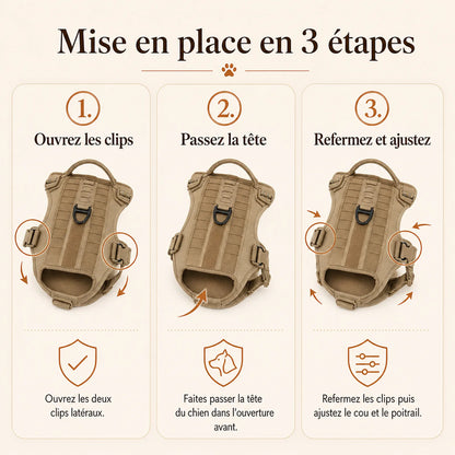 Harnais tactique chien entrainement - mise en place en 3 etapes