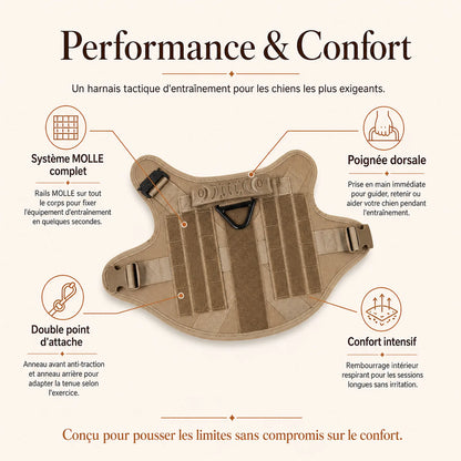 Harnais tactique chien entrainement - performance et confort