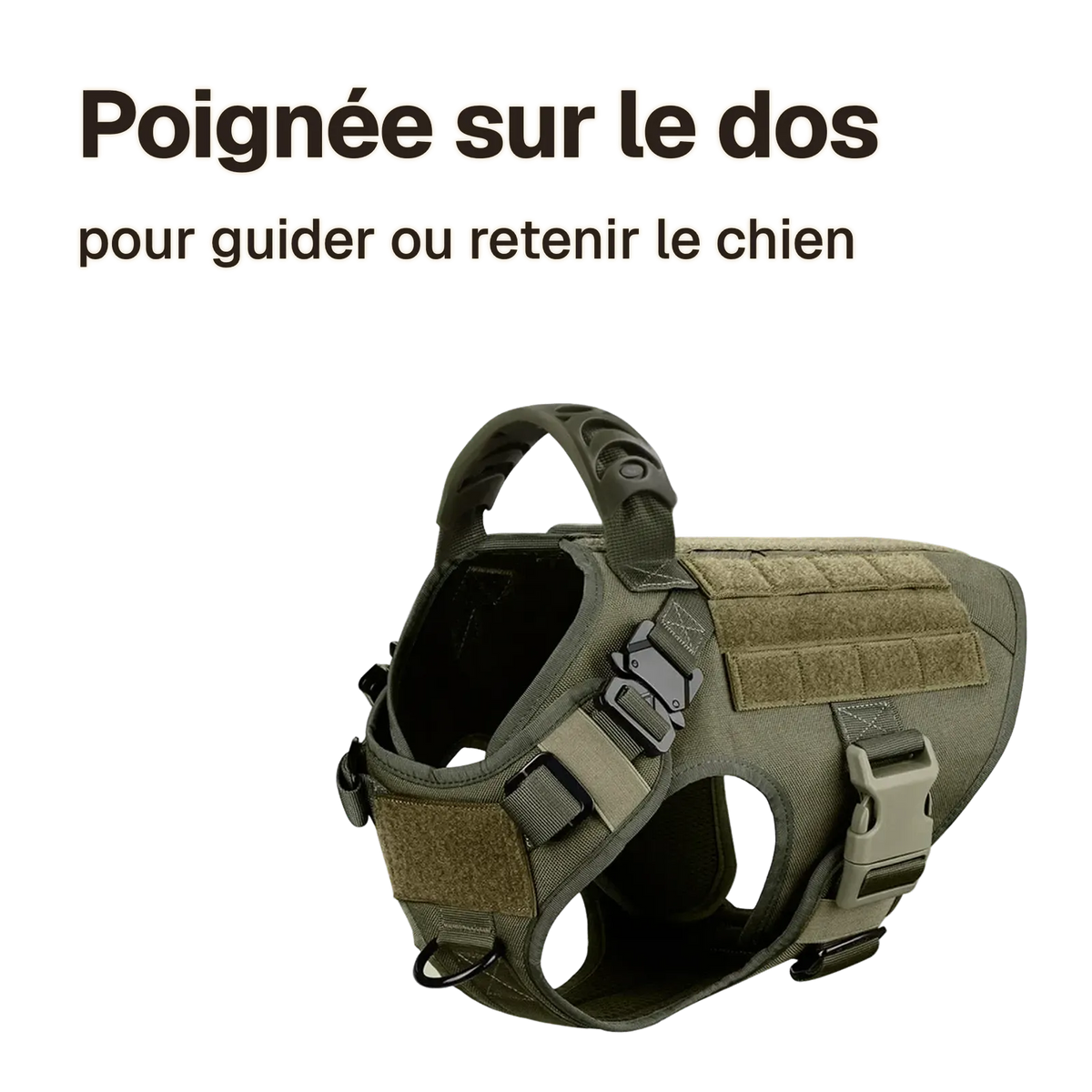 Harnais tactique chien entraînement : poignée sur le dos, pour guider ou retenir le chien