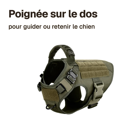 Harnais tactique chien entraînement : poignée sur le dos, pour guider ou retenir le chien