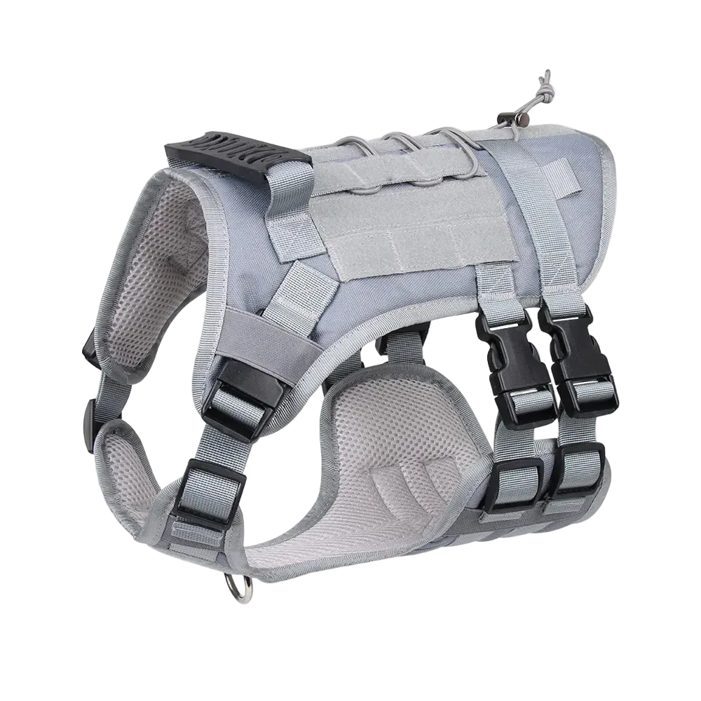 Harnais tactique chien Modulable coloris gris