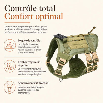 harnais tactique chien modulable performance confort