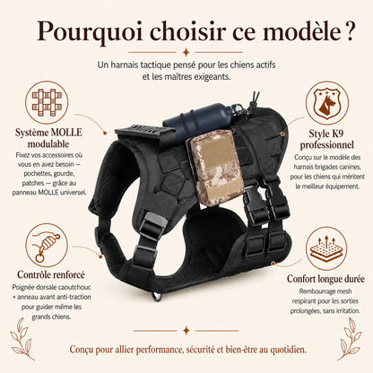 harnais tactique chien modulable pourquoi choisir ce modele
