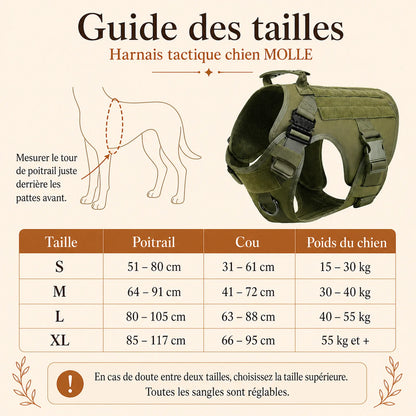 Harnais tactique chien molle - guide des tailles S M L XL