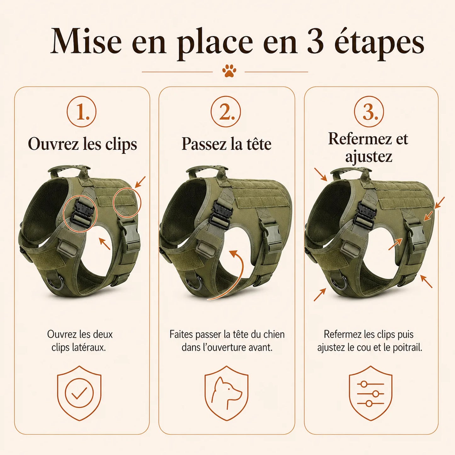 Harnais tactique chien molle - mise en place en 3 etapes