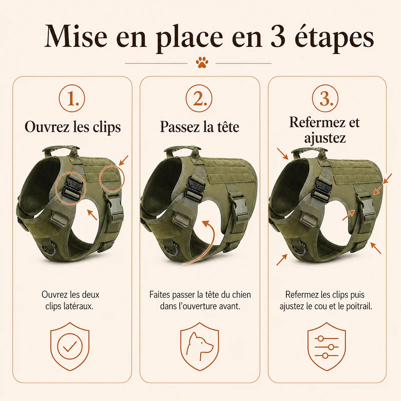 Harnais tactique chien molle - mise en place en 3 etapes