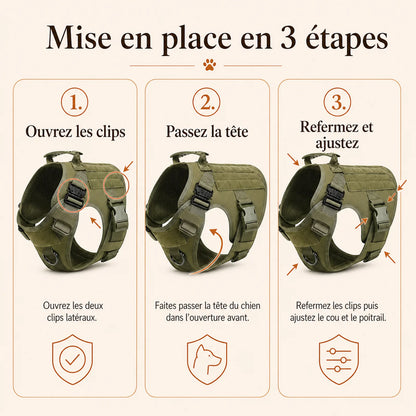 Harnais tactique chien molle - mise en place en 3 etapes