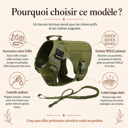 Harnais tactique chien molle - pourquoi choisir ce modele