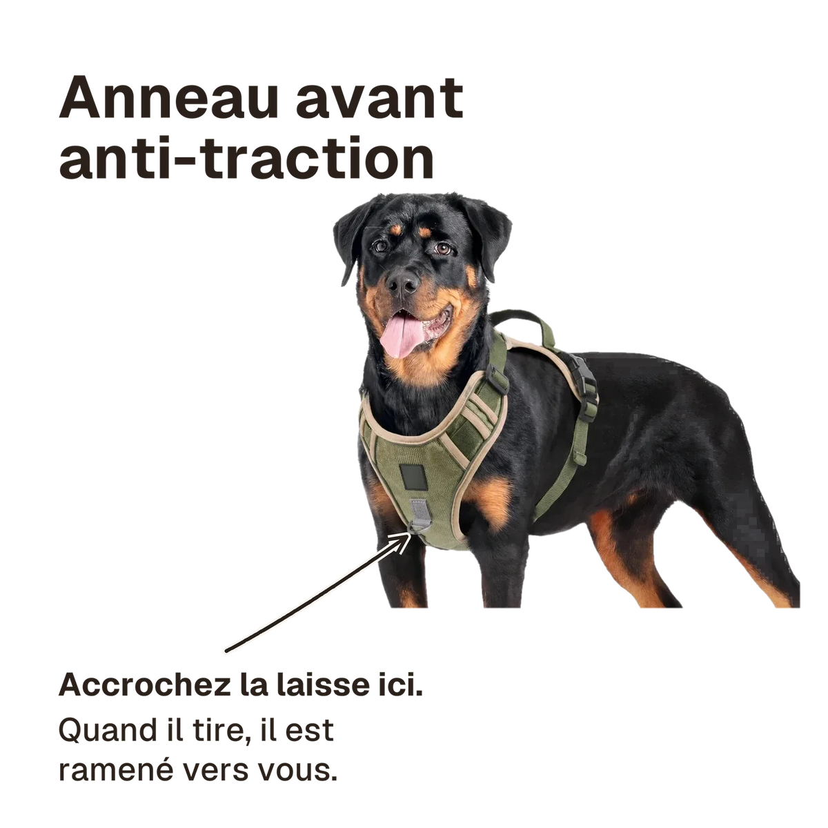 Harnais Tactique Chien Oxford : accrochez la laisse à l'anneau avant, quand il tire le chien est ramené vers vous
