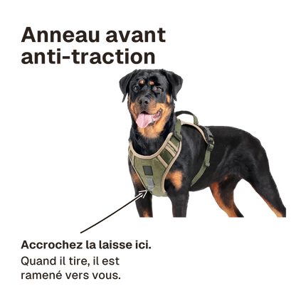 Harnais Tactique Chien Oxford : accrochez la laisse à l'anneau avant, quand il tire le chien est ramené vers vous